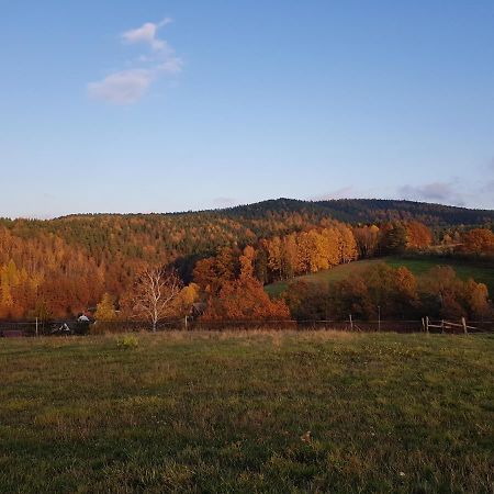Ferienwohnung Bonndorf Wasungen Buitenkant foto