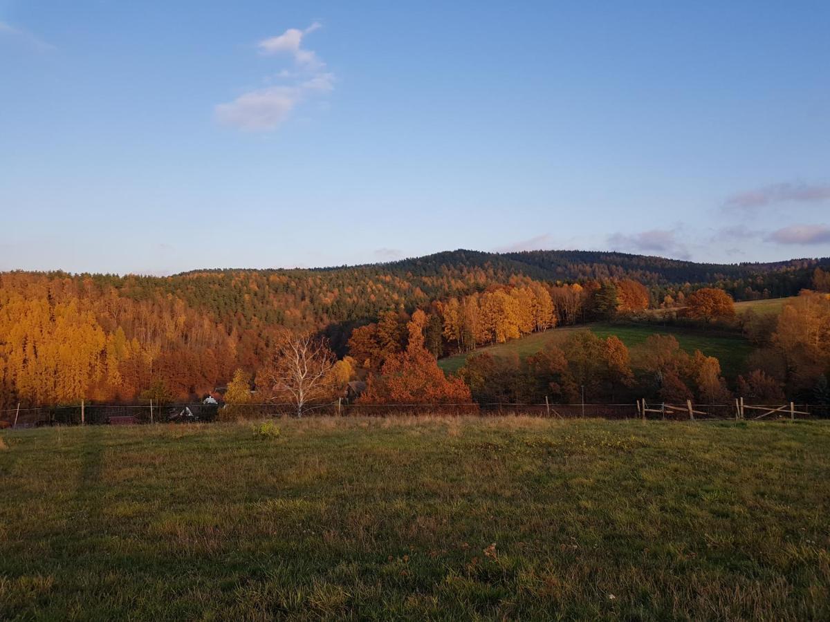 Ferienwohnung Bonndorf Wasungen Buitenkant foto